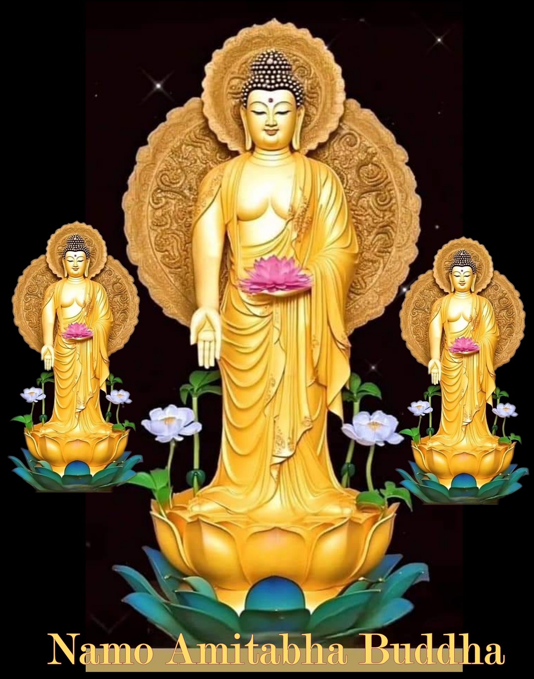 Buddha, Dana, Seven Gems