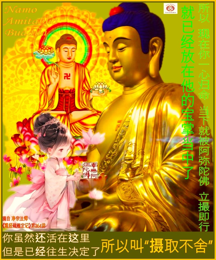 Dharma Words by Dharma Master Shi Jing Zong (27)